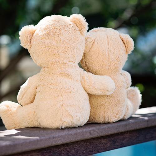 environnement de soutien