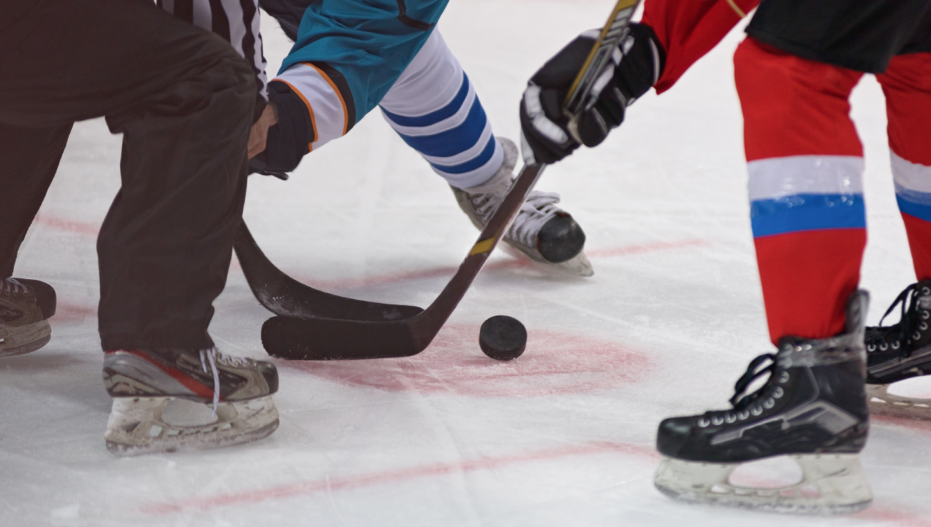 people playing hockey