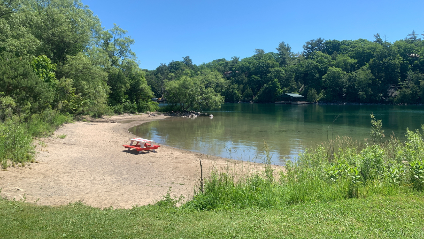 arrowhead beach water lake picnic table green