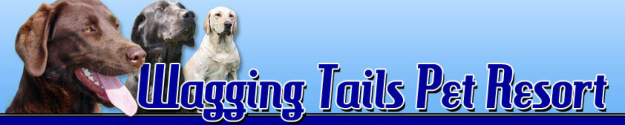 Logo Wagging Tails RV Storage Ltd