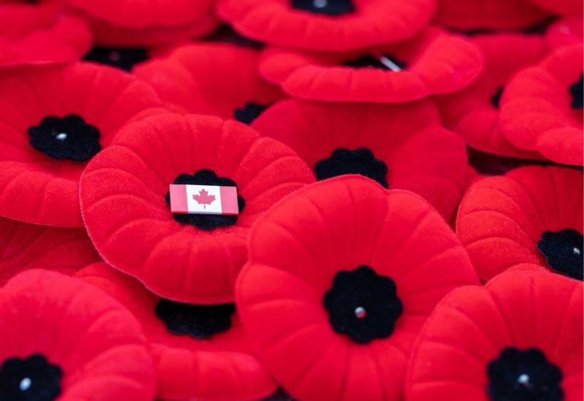 Des coquelicots rouges du Jour du Souvenir accompagnés d’un petit drapeau canadien.