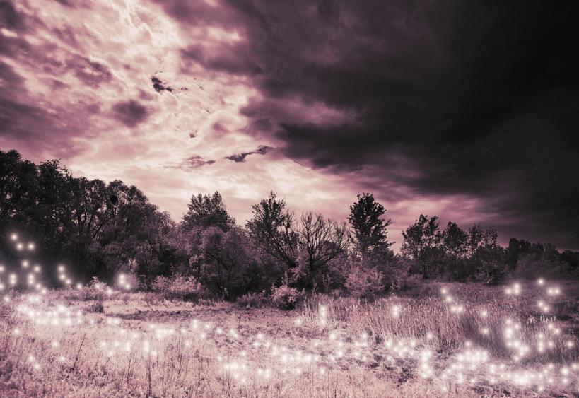Forêt par une soirée nuageuse