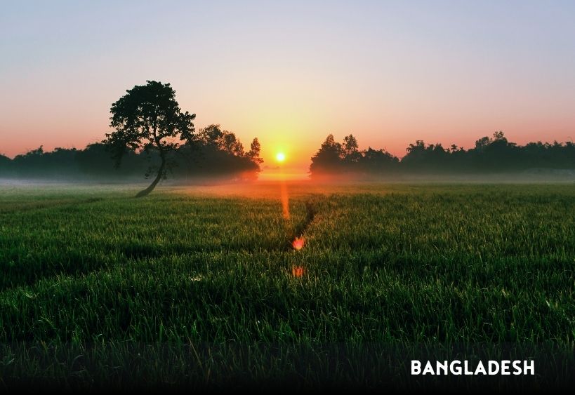 terrain au Bangladesh