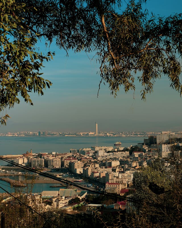 A beautiful aerial view of Algiers cityscape with coastal scenery and lush greenery.