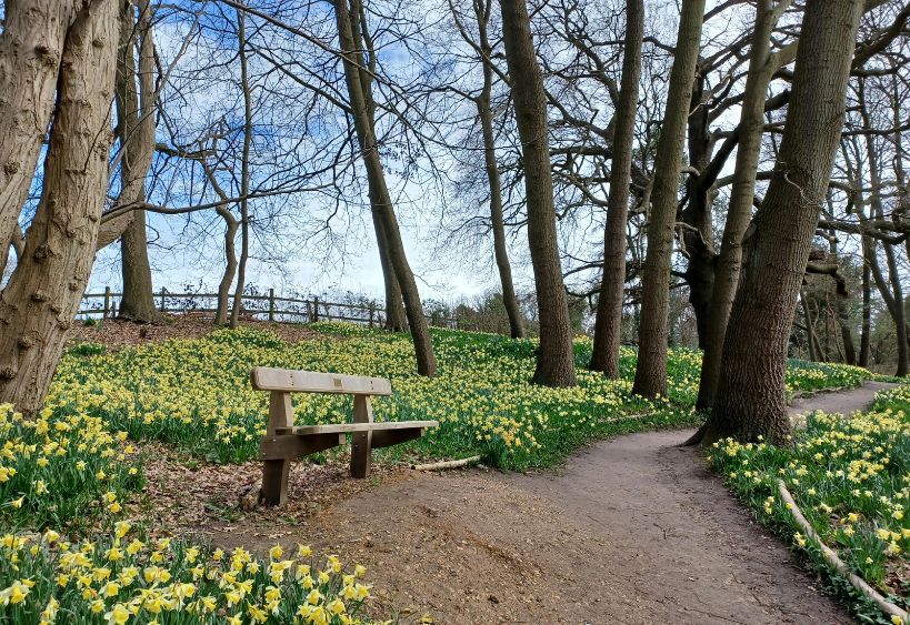 Sentier pédestre à travers un parc