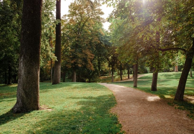 Un sentier dans un parc