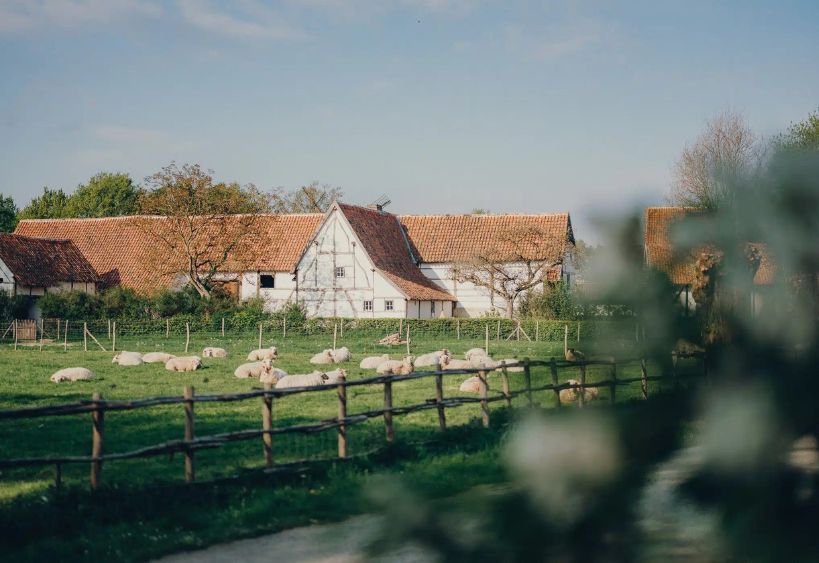 Bokrijk musée en plein air