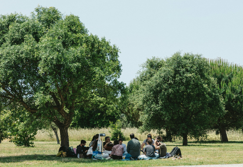 Groupe de personnes réunies dans un parc