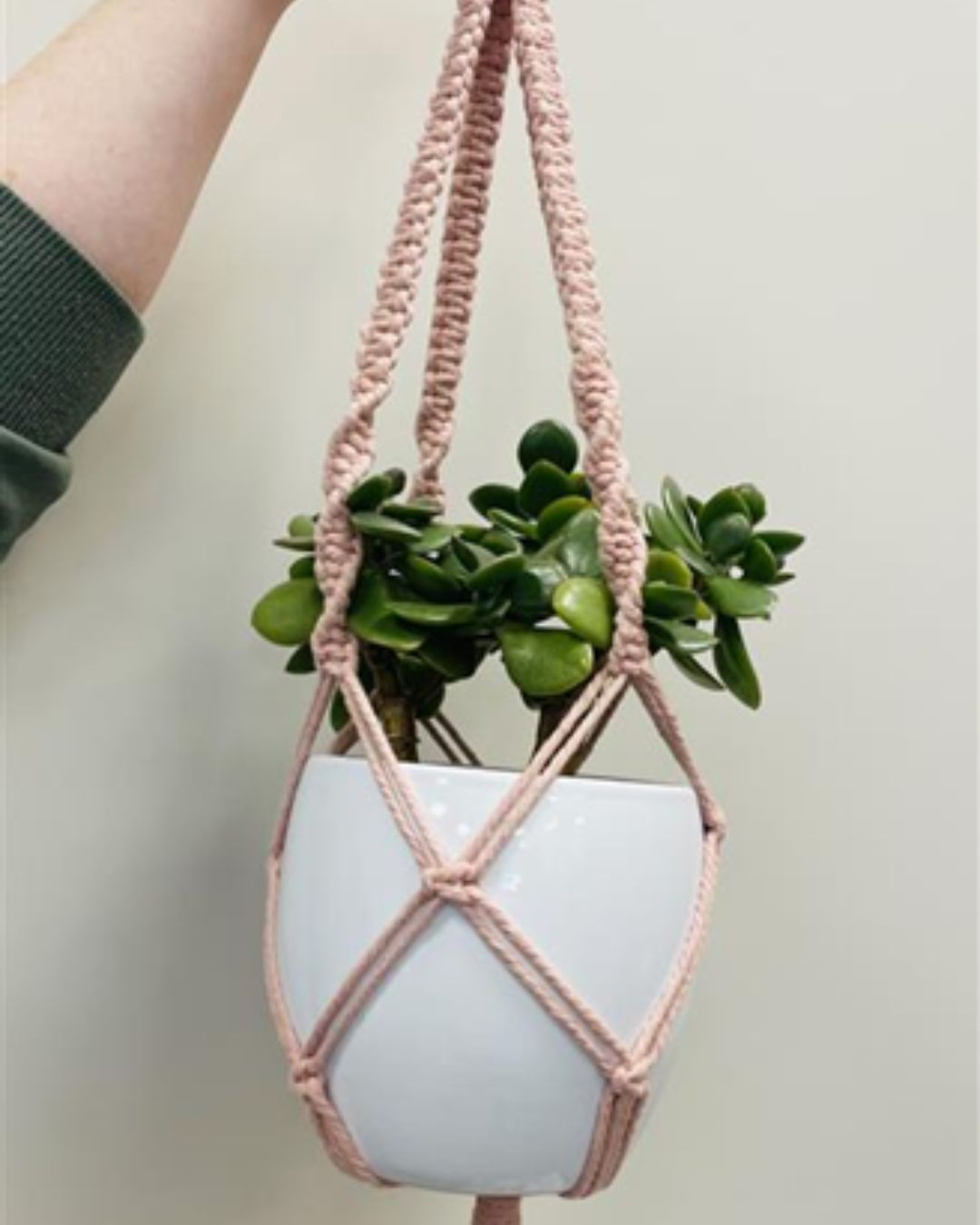 support à plante en macramé