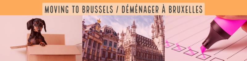 Texte : Déménager à Bruxelles avec une image de chien, la Grand-Place et une liste de contrôle