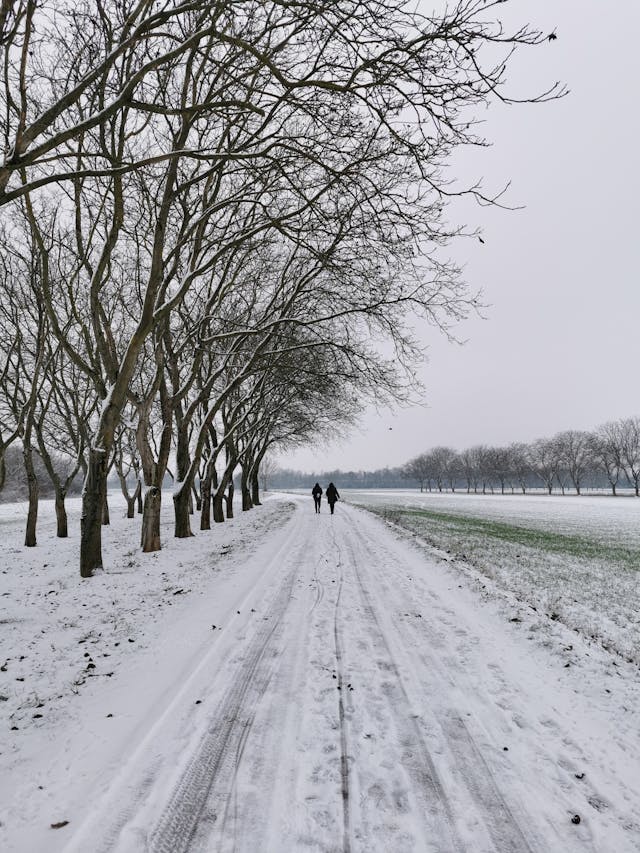 Des gens marchant sur la route en hiver