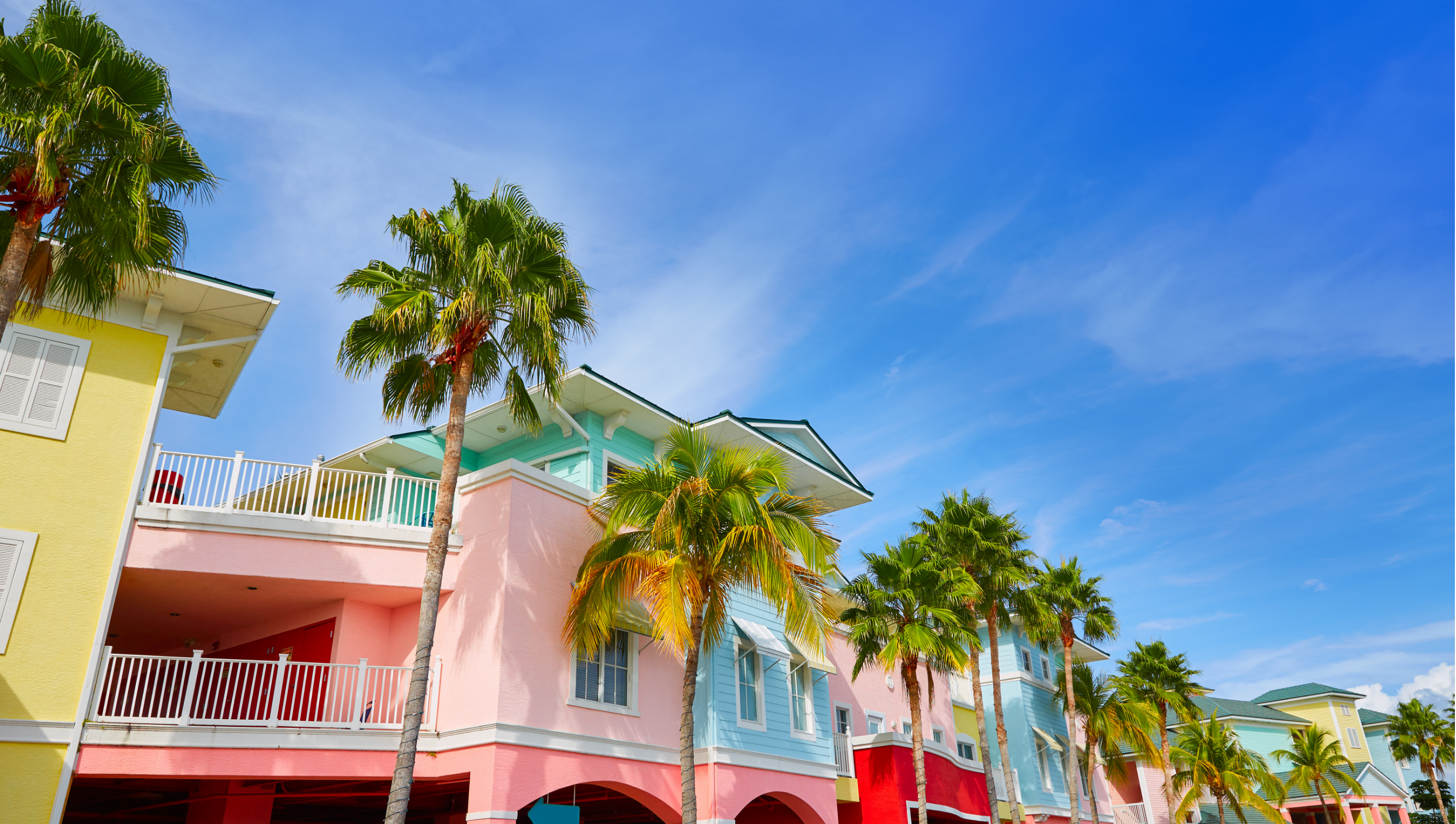 buildings and palm trees