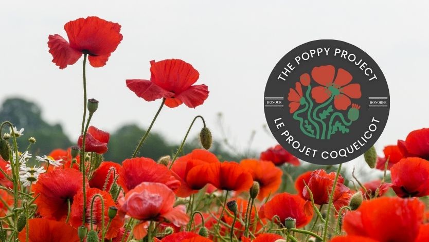 Le projet Coquelicot  