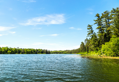 un lac entouré d’arbres