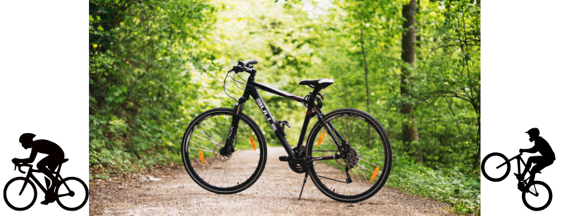 vélo dans les bois