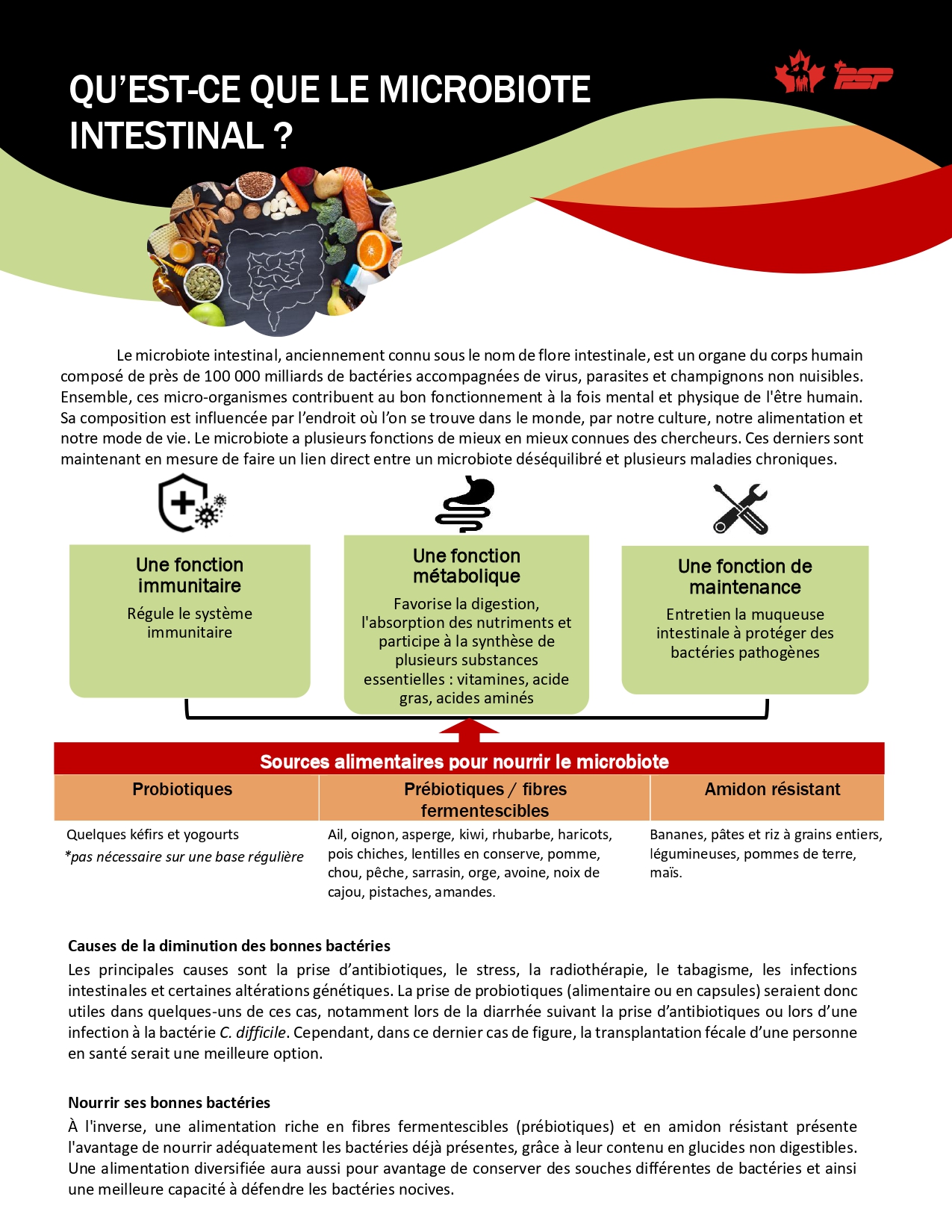 Comprendre le microbiote