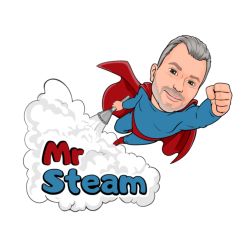 Mr Steam logo