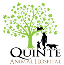 Logo Quinte Animal Hospital