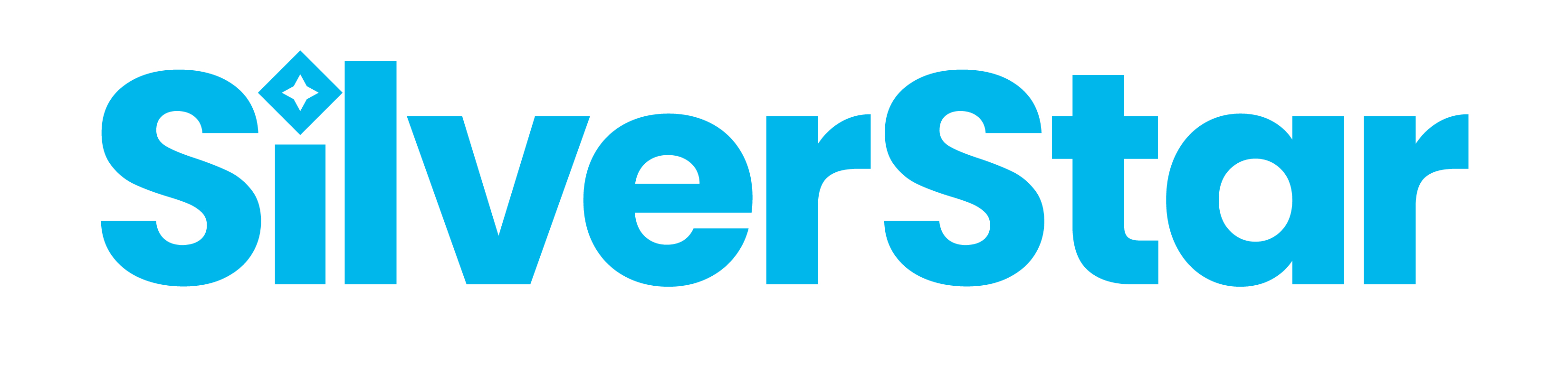 Logo SilverStar Mountain Resort