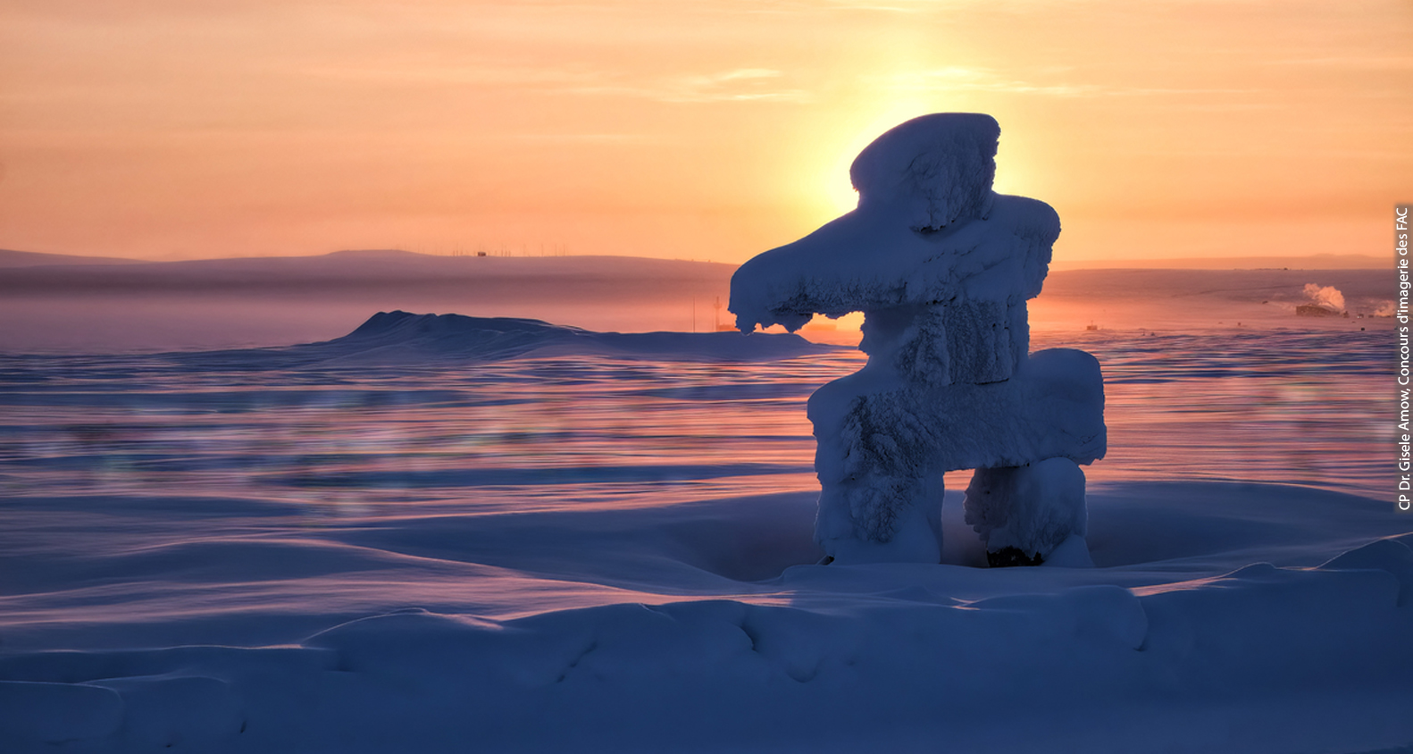 Neige arctique