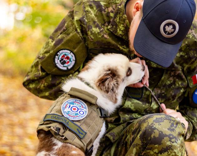 un membre militaire avec son chien