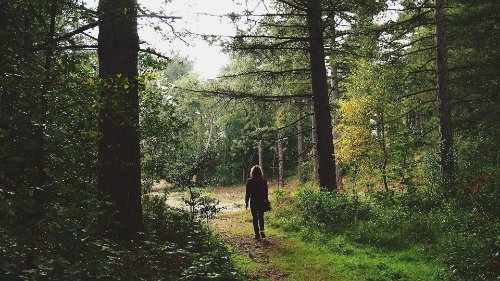 Solo traveller in forest 