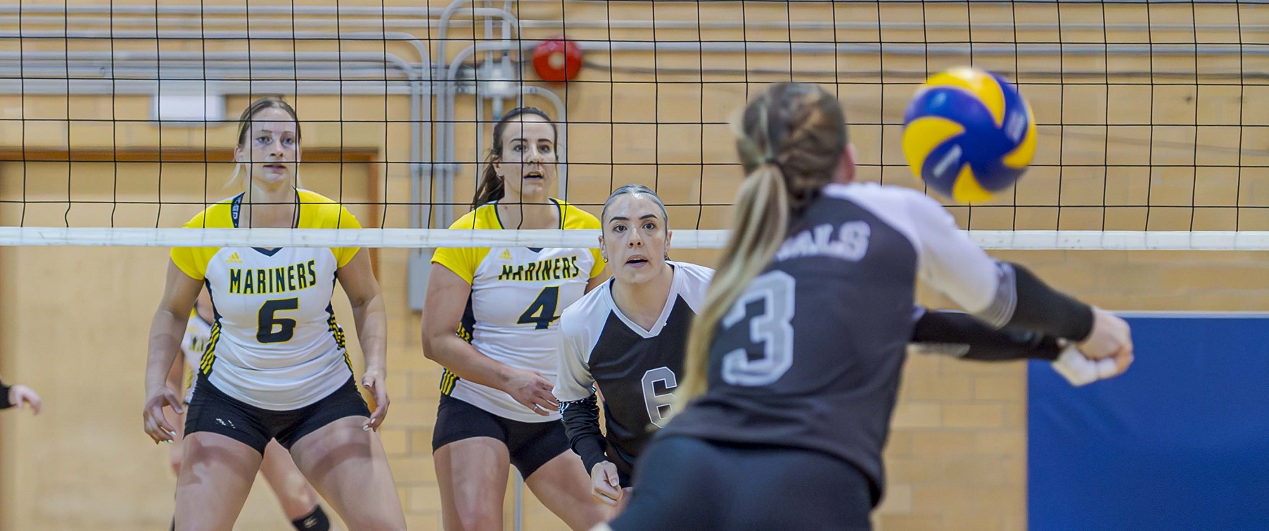 women playing volleyball